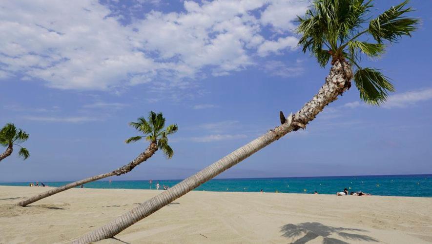 Appartement De Vacances - Splendide Vue Sur Mer, Parking Prive Le Barcarès المظهر الخارجي الصورة