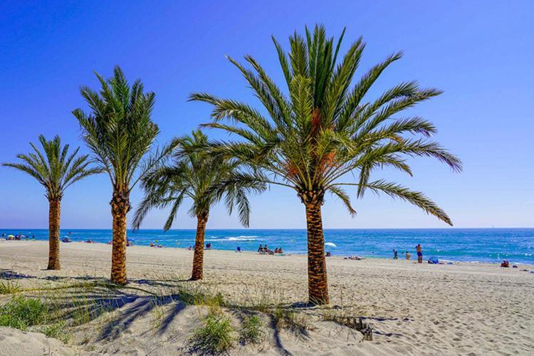 Appartement De Vacances - Splendide Vue Sur Mer, Parking Prive Le Barcarès المظهر الخارجي الصورة